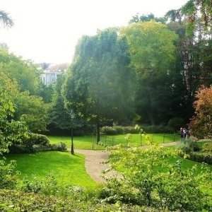 Atelier jardin : Tenbosch au printemps